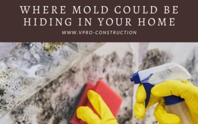 Where Mold Could be Hiding in Your Home
